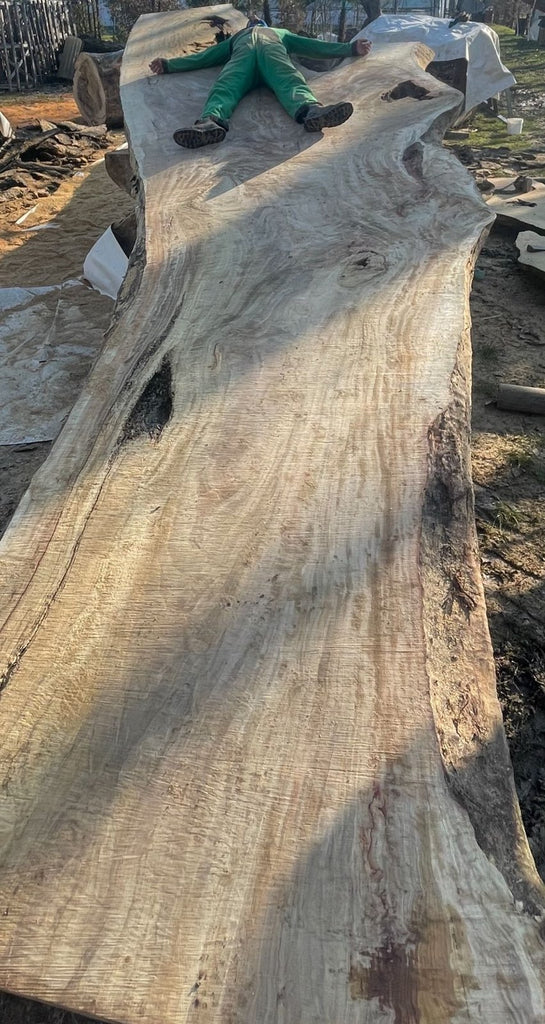 We make to order imposing tables in INDUSTRIAL / COUNTRY style in solid Lebanese Cedar wood 13 cm thick 750x130-170cm