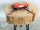 Tavolino rotondo da caffè INDUSTRIAL / RUSTICO in tronco d'albero legno spessore 10-13cm diametro variabile 30/50cm gambe in ferro a pinna